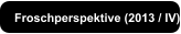 Froschperspektive (2013 / IV)