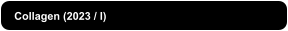 Collagen (2023 / I)
